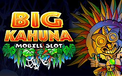 Microgaming Big Kahuna Slot